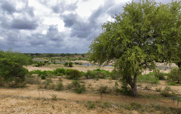 N'Wambu Safari Lodge